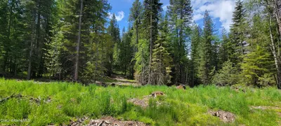 Property 26-5549 - Photo 5