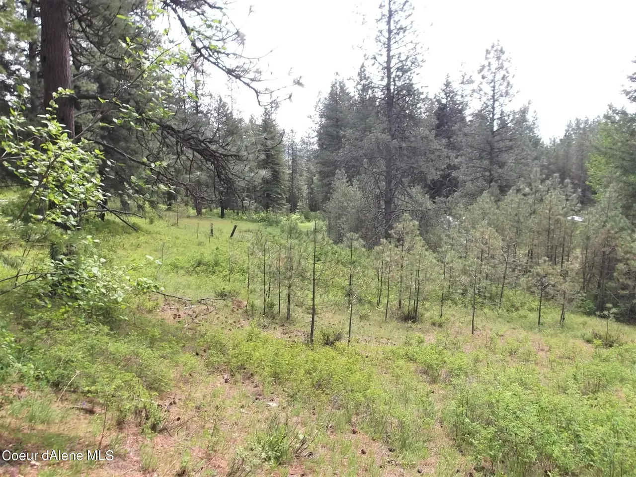 Property 26-3985 - Photo 1