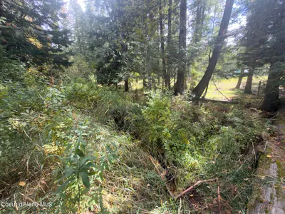 Property 26-9938 - Photo 68
