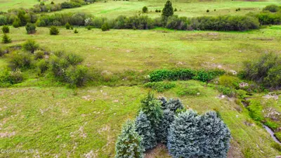 Property 26-3494 - Photo 4