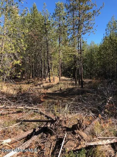 Property 26-10039 - Photo 2
