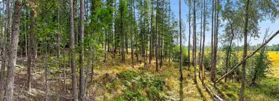 Property 26-8604 - Photo 10