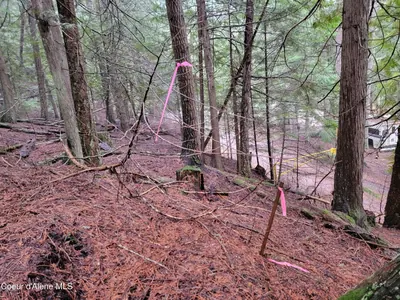 Property 26-2474 - Photo 6
