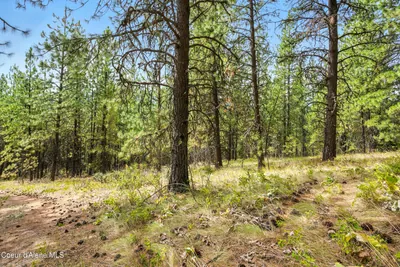Property 26-7725 - Photo 25