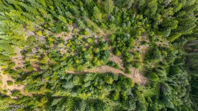 Property 26-9035 - Photo 2