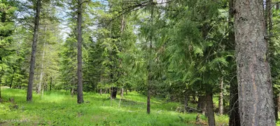 Property 26-9415 - Photo 8