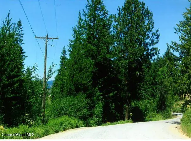 Property 25-11585 - Photo 1