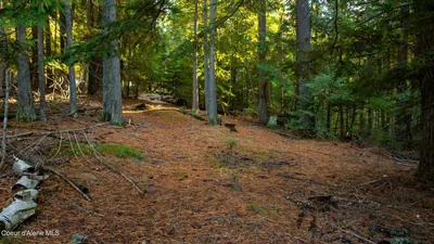 Property 26-4489 - Photo 2