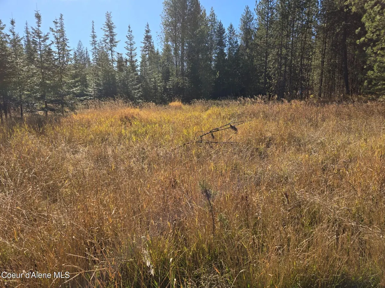 Property 26-10505 - Photo 1