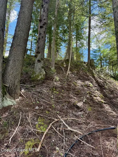 Property 26-5162 - Photo 34