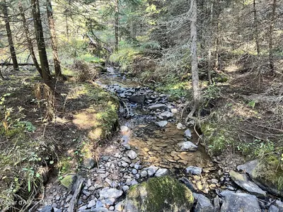Property 26-4692 - Photo 2