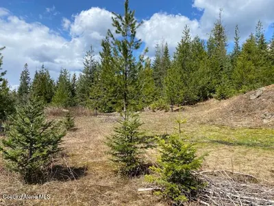 Property 25-4559 - Photo 13
