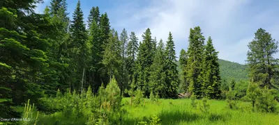 Property 26-9404 - Photo 5