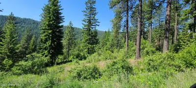 Property 26-2454 - Photo 6