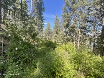 Property 26-7206 - Photo 9