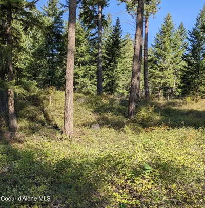 Property 26-2586 - Photo 5