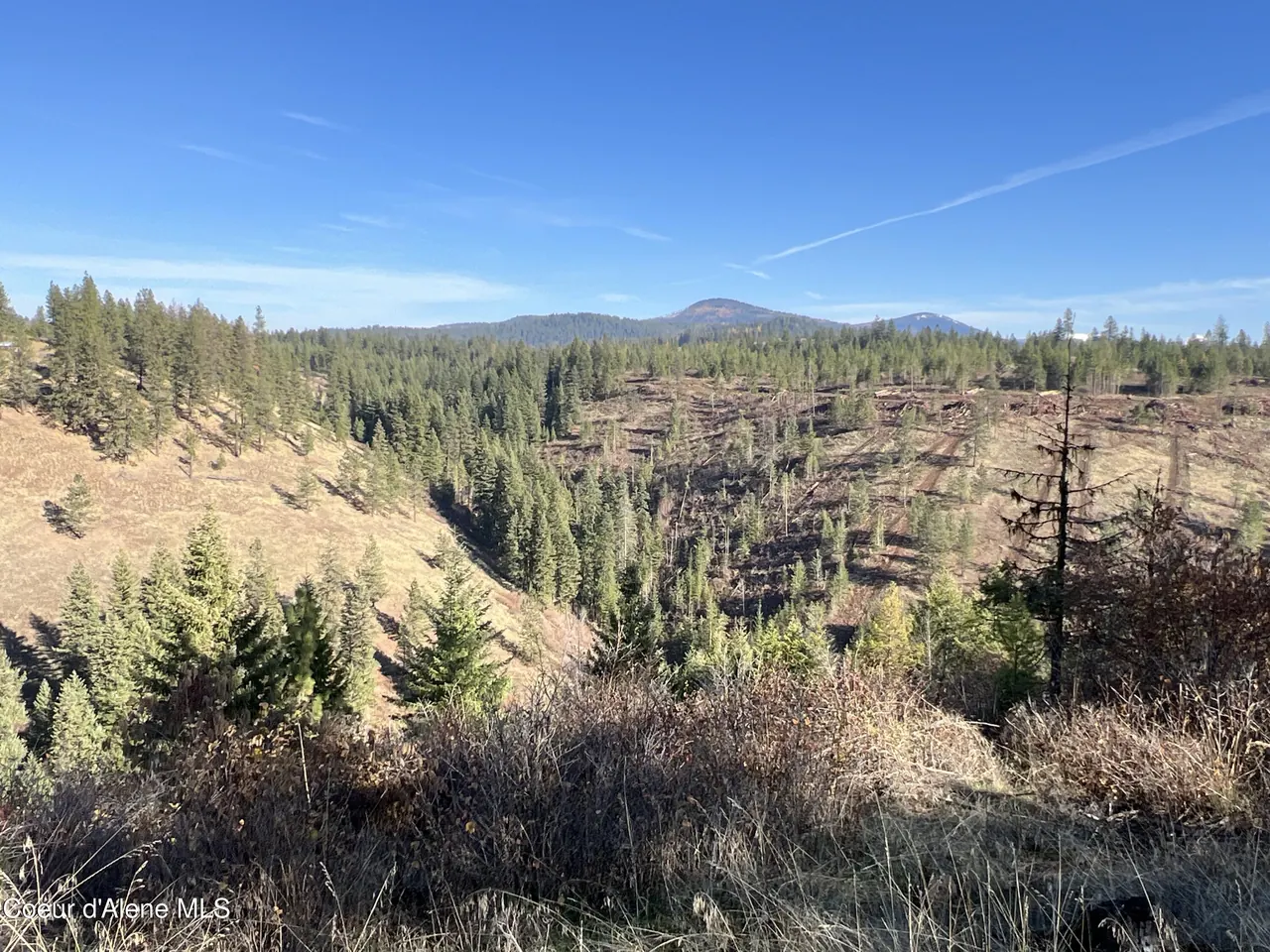 Property 25-10591 - Photo 1