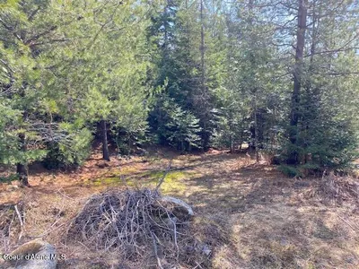 Property 25-4559 - Photo 19