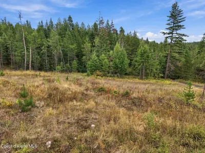 Property 26-9487 - Photo 102