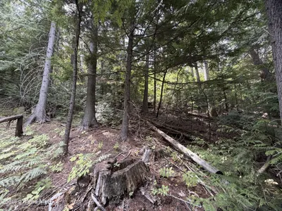Property 26-8802 - Photo 29