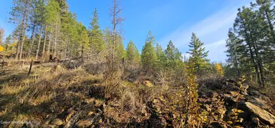 Property 26-7600 - Photo 40
