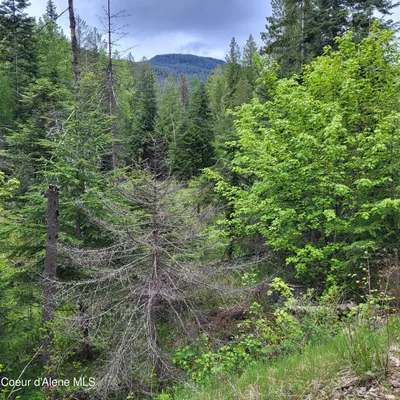 Property 26-3211 - Photo 2