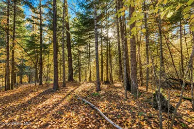 Property 26-10464 - Photo 47