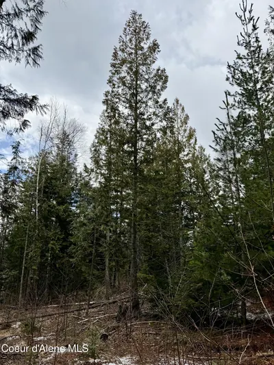 Property 26-2440 - Photo 27