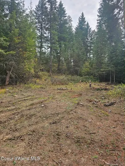 Property 26-8465 - Photo 2