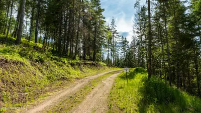 Property 26-5312 - Photo 12