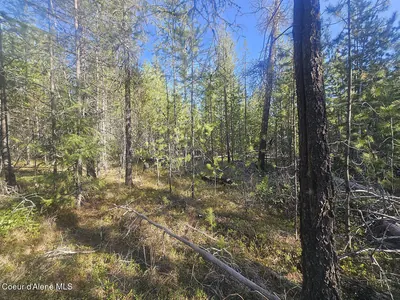 Property 26-3442 - Photo 32