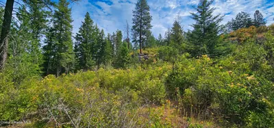 Property 26-7529 - Photo 24