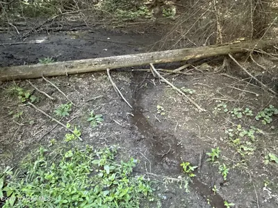 Property 26-7987 - Photo 14