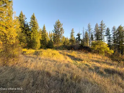 Property 26-9931 - Photo 44