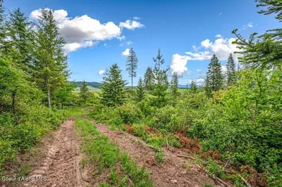 Property 26-6991 - Photo 4