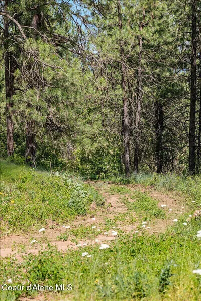 Property 26-6839 - Photo 29
