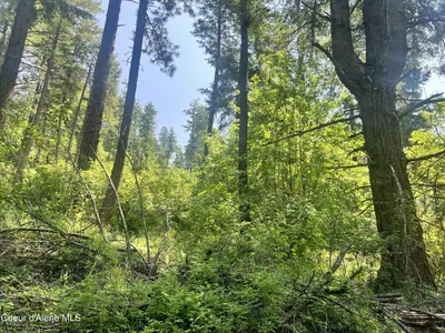 Property 26-9748 - Photo 9