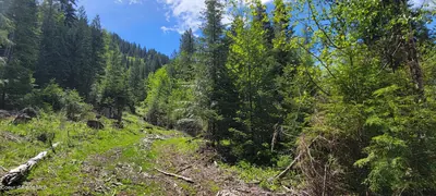Property 26-5575 - Photo 2