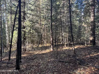 Property 25-10436 - Photo 11