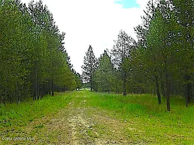 Property 25-2486 - Photo 6