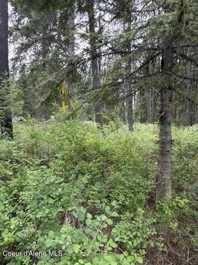Property 26-6619 - Photo 11
