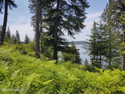 Property 25-7334 - Photo 9