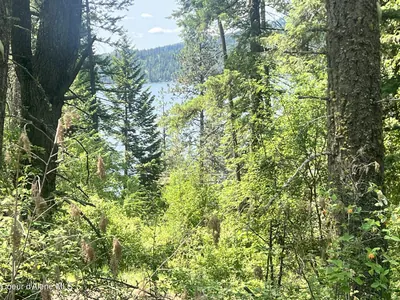 Property 26-9748 - Photo 2