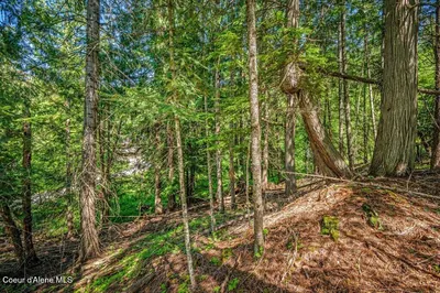 Property 26-8698 - Photo 9