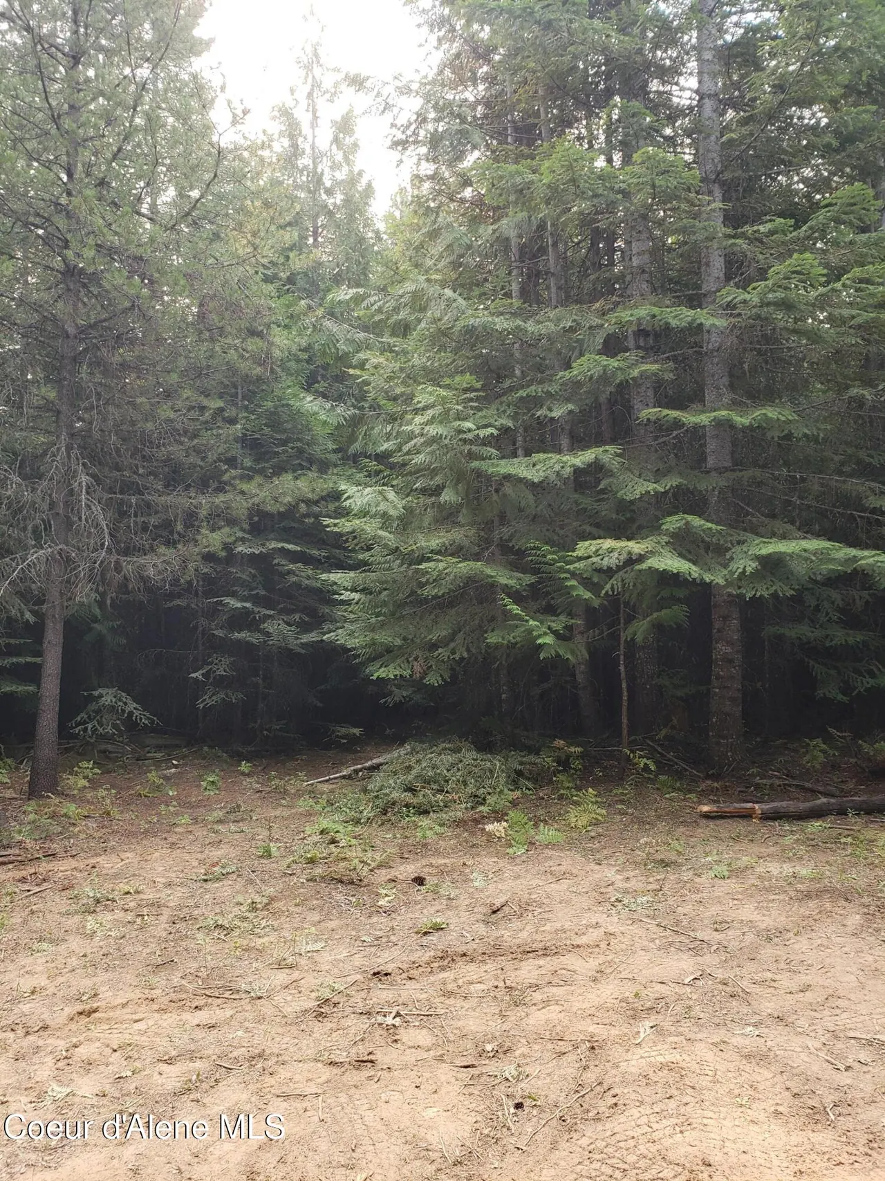 Property 26-1504 - Photo 1