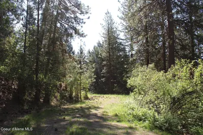 Property 26-9115 - Photo 3