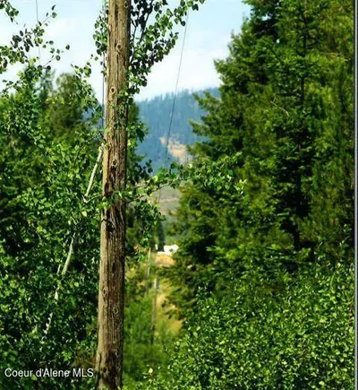 Property 25-11585 - Photo 4