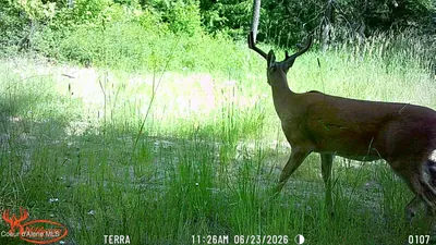 Property 26-7348 - Photo 18