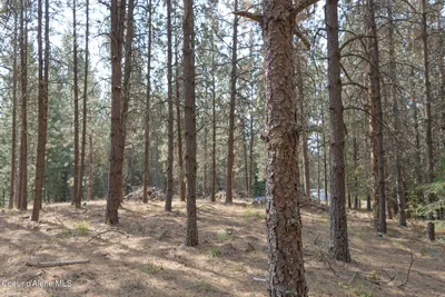 Property 26-8983 - Photo 6