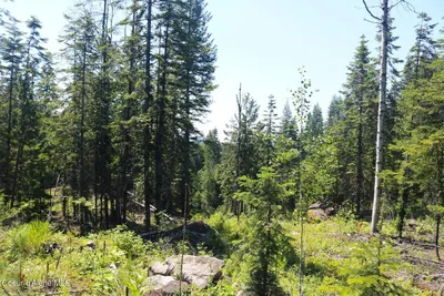 Property 26-8392 - Photo 3